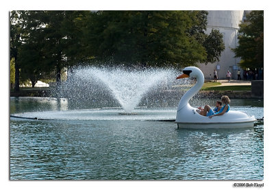 Swan Ride