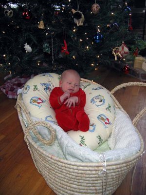 IMG_3136.jpg