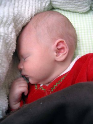IMG_3144.jpg
