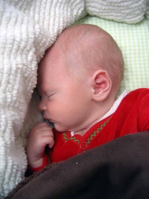 IMG_3145.jpg