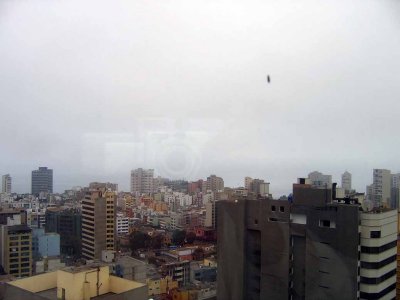 IMG_4258.jpg
