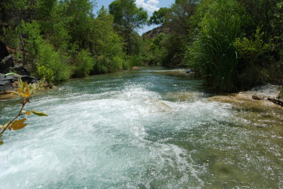 Rapids