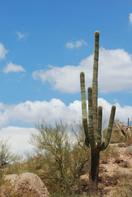 Pinnacle Peak