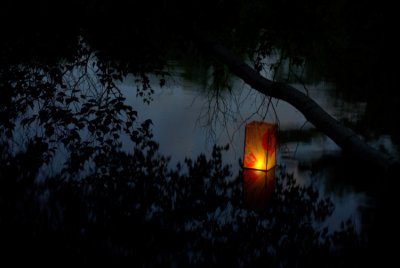 a lone lantern, seeking solitude among the hundreds...