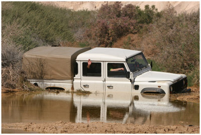 Mud at Zin Wadi