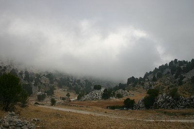 g6/09/602409/3/84454605.KJ7qFZCu.jpg