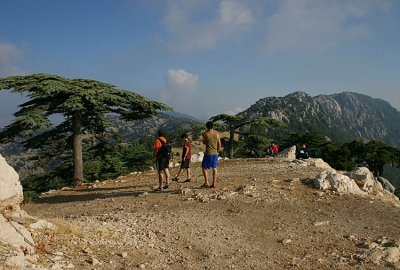 g6/09/602409/3/84454621.mFBUU8C9.jpg