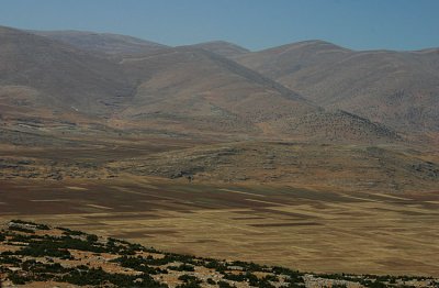 ויורדים שוב