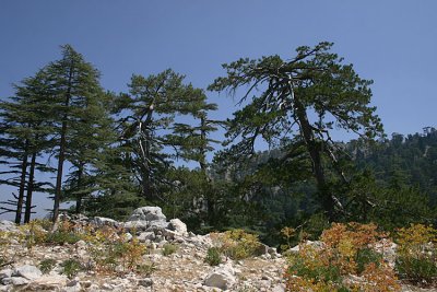 g6/09/602409/3/84462583.t7x19msr.jpg