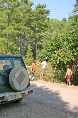 g6/09/602409/3/84506113.e8Koefkz.jpg