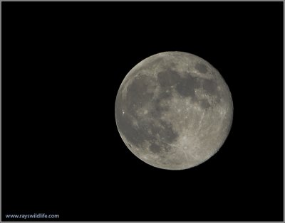 Nov 506 Full Moon
