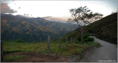 Monteverde, Costa Rica 2