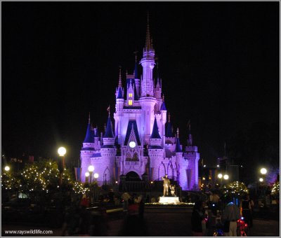 Disney Castle at night