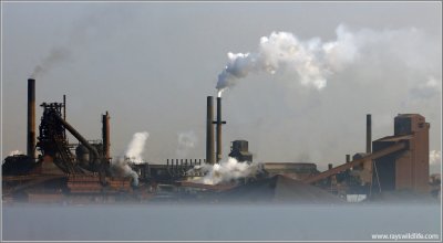 Foggy Industrial