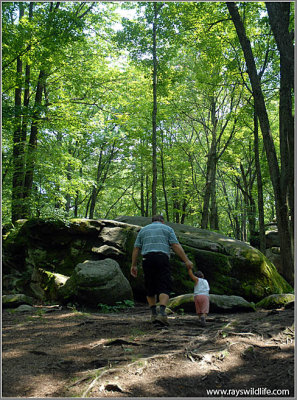 Maria taking Dad for a walk