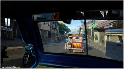 A view from a tricycle