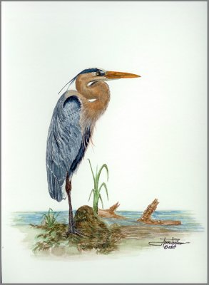  Heron