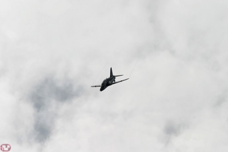 Hawk
