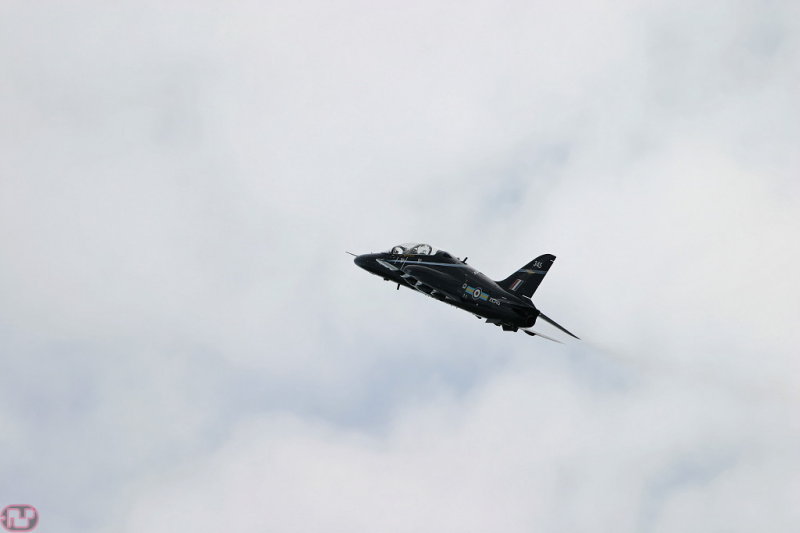 Hawk