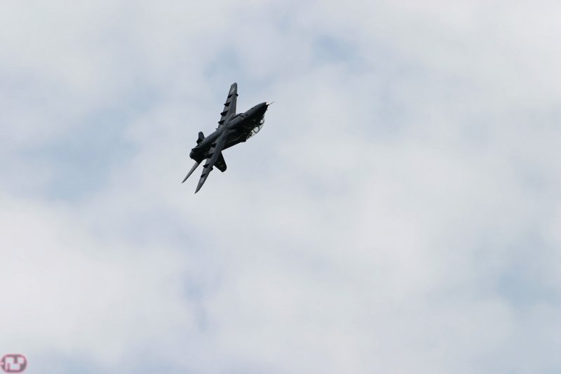 Hawk