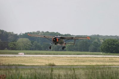 envol du Broussard