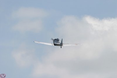 T6G