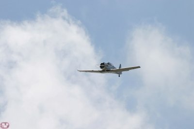T6G