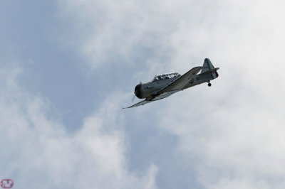 T6G