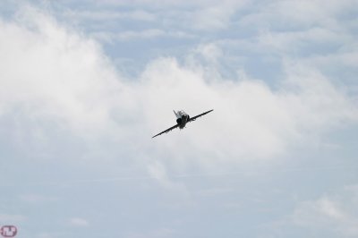 Hawk