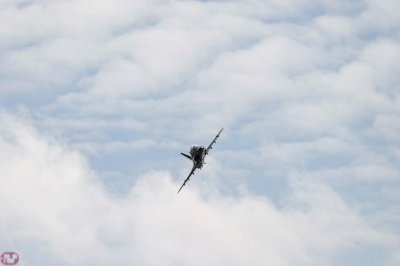 Hawk