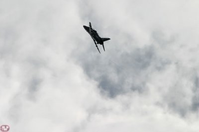Hawk