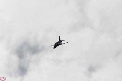 Hawk