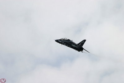 Hawk