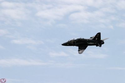 Hawk