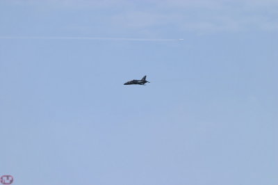 Hawk & jet