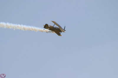 Pitts S2C