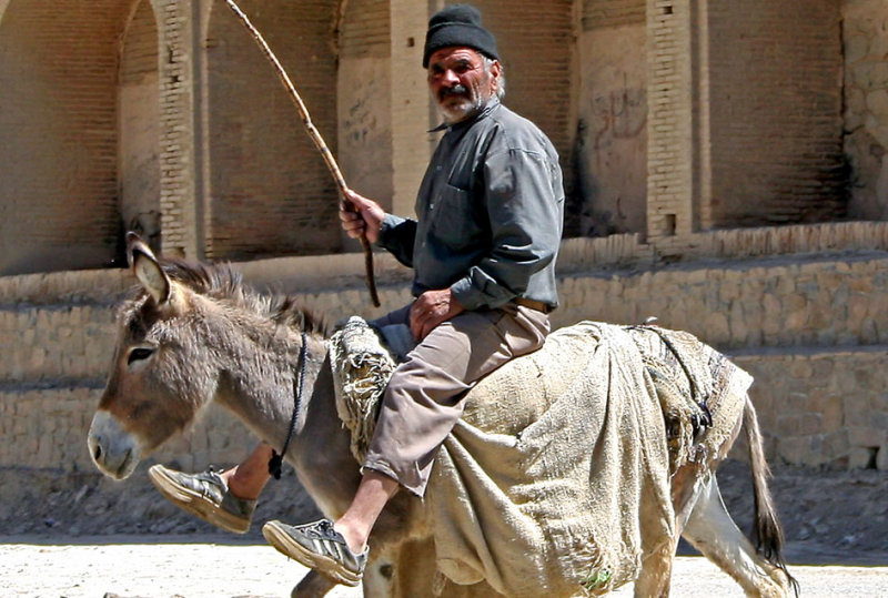 Herdsman and donkey, Izadkhast