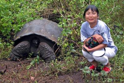 Galpagos Tortoise weighing three times as much as Lisa