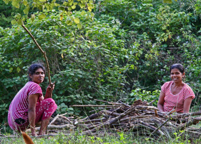 Gathering firewood near Tivanka Image House