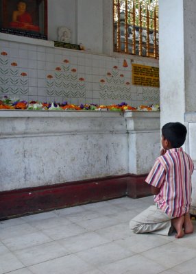 Praying at the Sri Maha Bodi