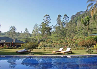 Early morning landscape, Tea Trails