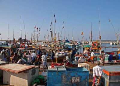 Tangalle fishing port