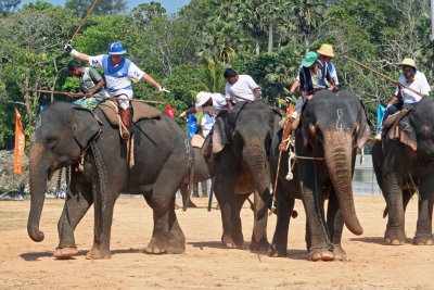 Ceylon Elephant Polo Association Tournament