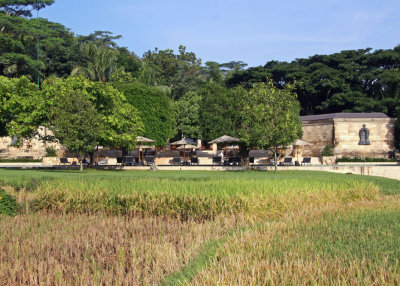 Amanjiwo pool area across the rice paddy