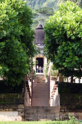 Amanjiwo from the rice paddy