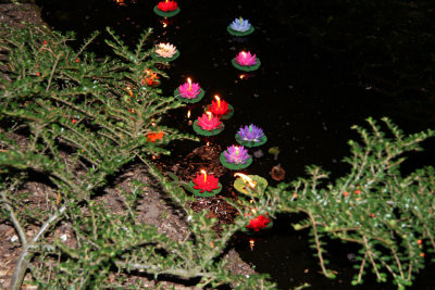 Candles on the lake