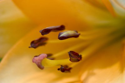 CRW_6553.jpg