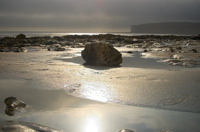 CRW_6824-b.jpg