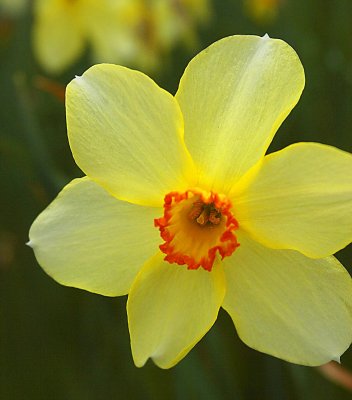 1422-v sheffield park garden.jpg