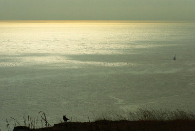 3724 beachy head.jpg